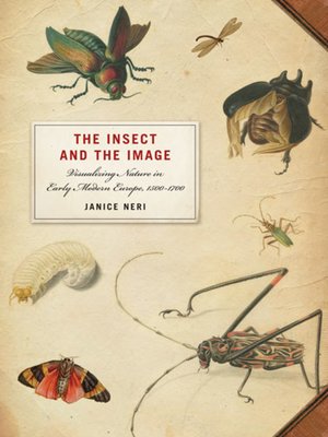 cover image of The Insect and the Image
